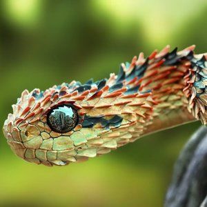 Meet your Posher, Baldemar